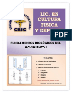 Planos, Ejes y Tipos de Movimiento, Forma y Estructura Del Ejercicio