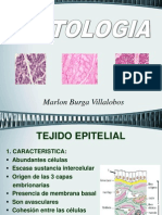 Histologia