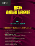 Download Tips on Vegetable Gardening by leolasty SN13294394 doc pdf