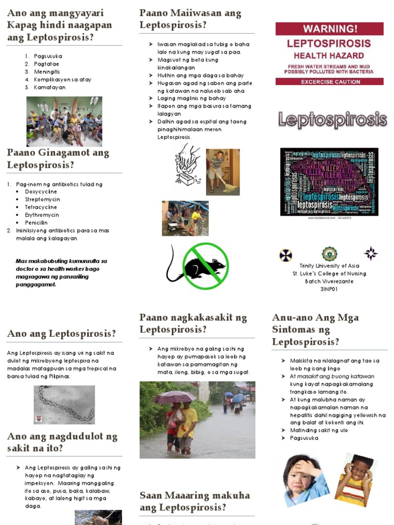 Rabies incubation period image