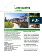 Landscaping Guide