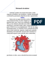 Sistemul-Circulator.pdf