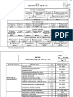Anexa 1 Harta Proceselor