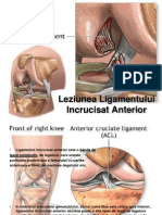 Ruptura de Ligament Anterior Incrucisat