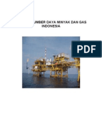Potensi Sumber Daya Minyak Dan Gas Indonesia