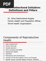 Download Definitions and pillars for Safemother hoodppt by Mayom Mabuong SN132983566 doc pdf