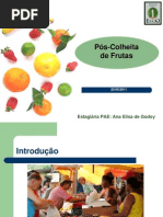 Pos Colheita de Frutas