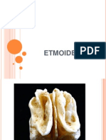 etmoides-100524043915-phpapp01