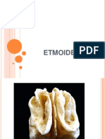 Etmoides 100524043915 Phpapp01