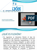 Flexion 101129201904 Phpapp01