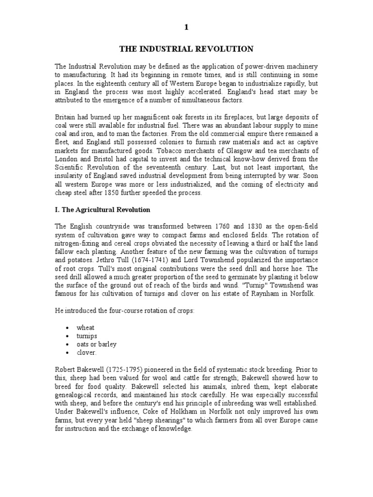 Industrial Revolution PDF Steam Engine Rail Transport