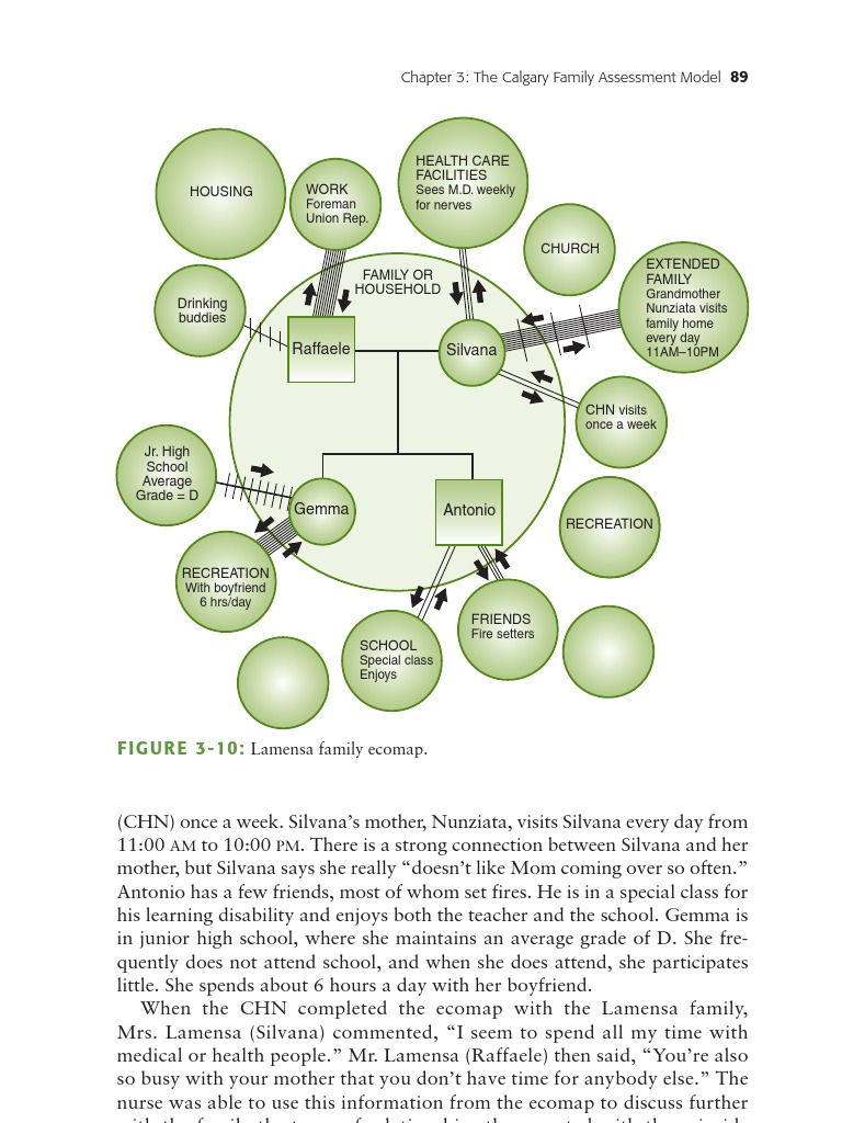 Calgary Family Assessment Model Insights | PDF | Wellness