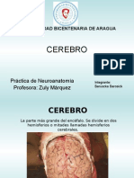 Exposicion de CEREBRO