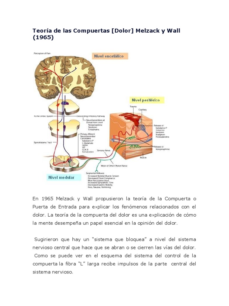 Teoria de compuertas