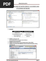 Download Acceso a Una Base de Datos Oracle 11g Desde Java Utilizando Netbeans by Rolando Vasquez SN133063183 doc pdf