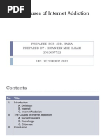 The Causes of Internet Addiction