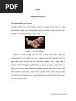 Download TEMBAGA by Okta Christal SN133085139 doc pdf
