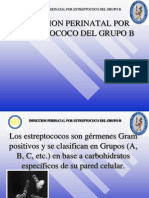 Estreptococo Grupo B