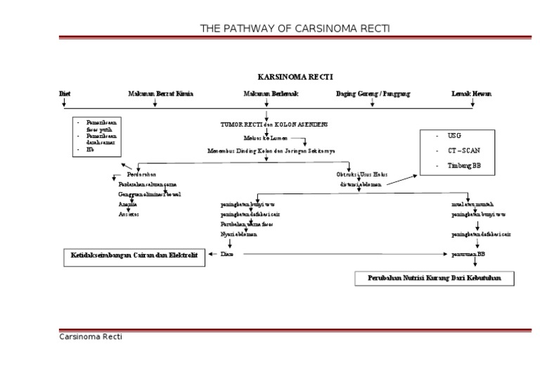 Pathway CA RECTI PDF