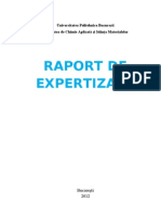 raport expertizare