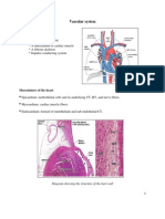 9' - Cardiovascular System PDF