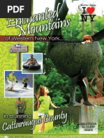 Download 2009 Travel Guide for the Enchanted Mountains of New York by Enchanted Mountains SN13310394 doc pdf