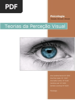 percepção visual