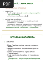Divisão Chlorophyta