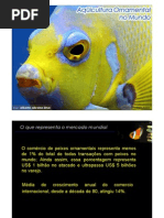 20 Aquacultura Ornamental No Mundo