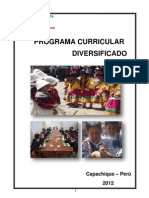Programa Curricular Diversificado 2012 - Yuraccama