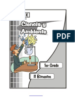 II - Bim.ciencia Amb.1ero Prim