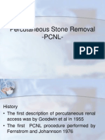 Percutaneous Stone Removal