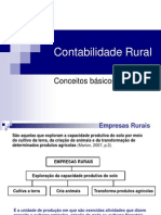 Conceitos básicos da contabilidade rural