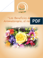 Los Beneficios de La Aromaterapia. Resumen