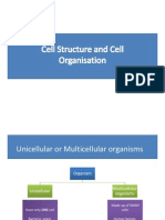 2332082 Cell Structure3