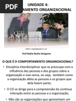 Comportamento Organ i Zac Ional
