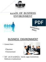 Kinds of Business Environment