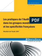 1007 Pratiques Audit Interne