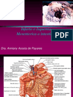 Isquemia Intestinal (1)