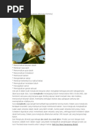 Download Khasiat Jus Mengkudu Javanony by adamaliksgmailcom SN133205117 doc pdf