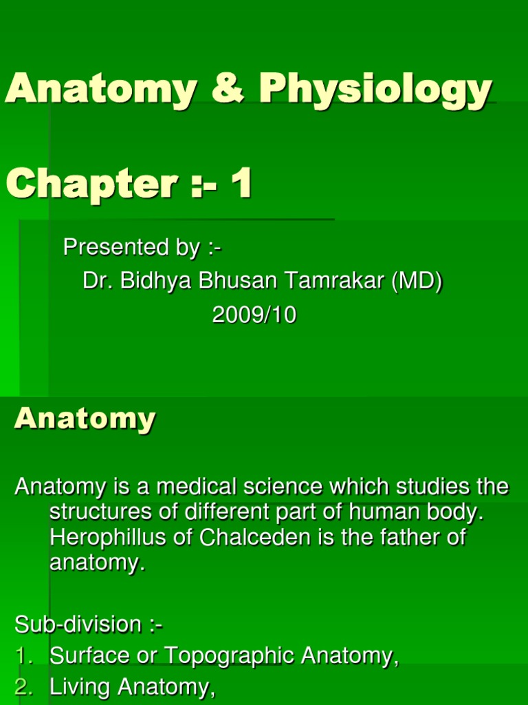 Overview of Human Anatomy Basics | PDF