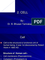 Cell Structure and Functions