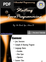 2 Starting JavaProgramming