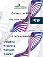 QUIMICA_RNA