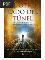 Al Otro Lado Del Tunel - Jose Gaona Cartolano