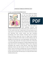 Anatomi Dan Fisiologi Penyelaman