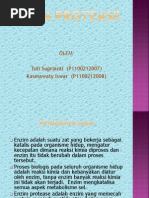 Enzim proteolitik adalah pdf