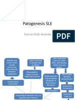 Patogenesis SLE