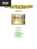 Download LAPORAN PRAKTIKUM KIMIA by Darmawati Dalle SN133236351 doc pdf