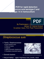 Multiplex PCR For Rapid Detection of Streptococcus Suis Serotype 2 and Serotype 14 in Hemoculture